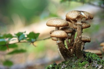 星空传媒香菱的作品 便签纸上手写的标签分类草图，几种颜色区分不同子主题