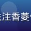 用户暖棕色调的头像，关注香菱作品列表更新的忠实粉丝
