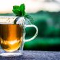 读者「半盏茶」的头像，暖黄灯光下的桌面静物剪影